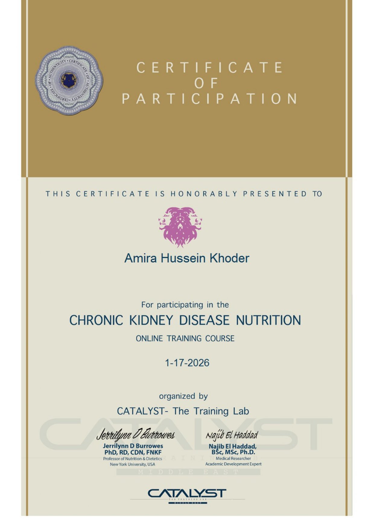 CHRONIC KIDNEY DISEASE NUTRITION